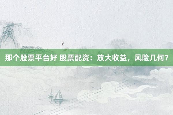 那个股票平台好 股票配资：放大收益，风险几何？