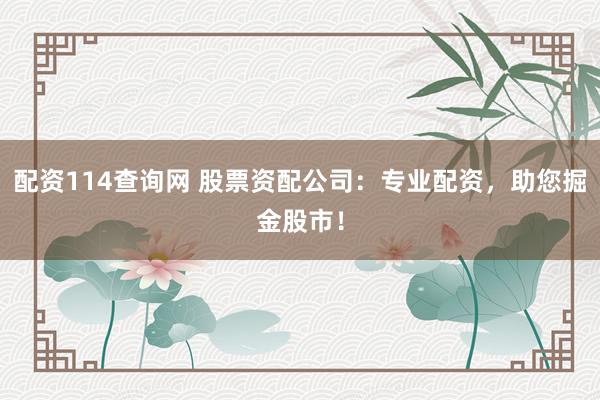 配资114查询网 股票资配公司：专业配资，助您掘金股市！