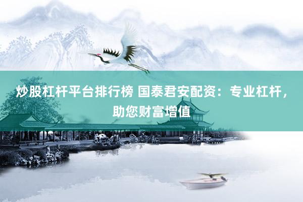 炒股杠杆平台排行榜 国泰君安配资：专业杠杆，助您财富增值