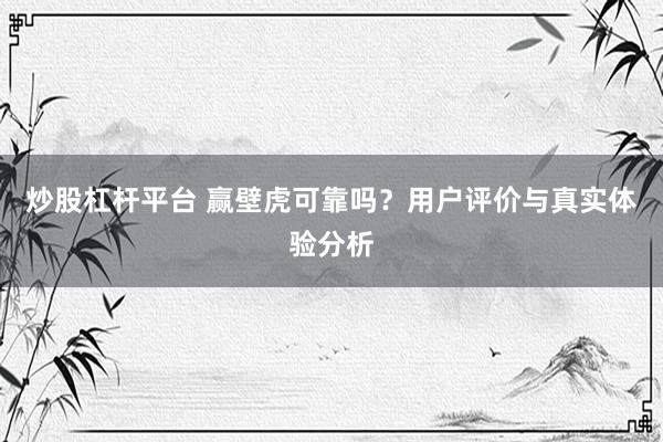 炒股杠杆平台 赢壁虎可靠吗？用户评价与真实体验分析