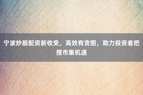 宁波炒股配资新收受，高效有贪图，助力投资者把捏市集机遇