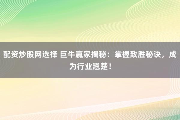 配资炒股网选择 巨牛赢家揭秘：掌握致胜秘诀，成为行业翘楚！